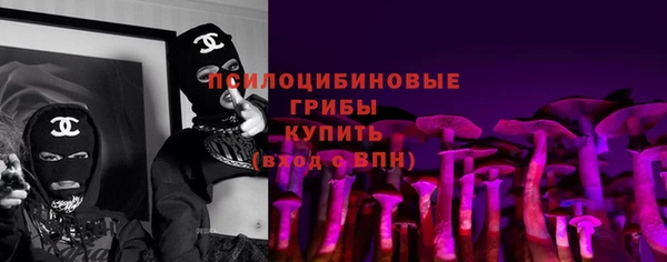МДМА Белокуриха
